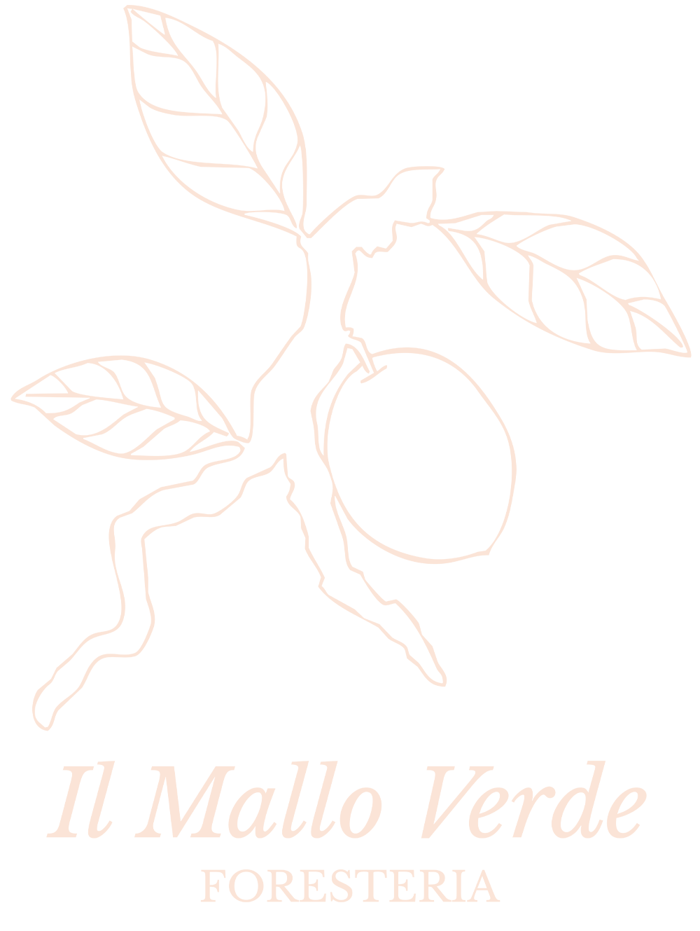 Foresteria Il Mallo Verde