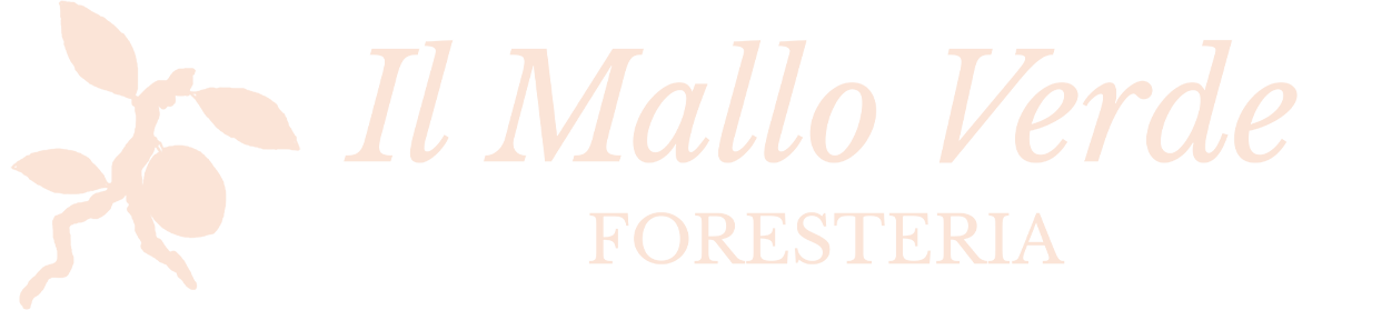 Il Mallo Verde_Logo web orizzontale